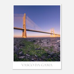 e542407d-8fd2-4c3f-ad88-55369182c4eb