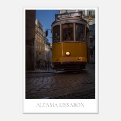 e6cd8e45-39b8-481e-92e5-bf5aad599711