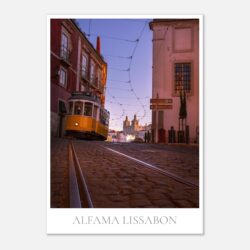 e74a637a-4e18-4e0a-afb1-4fce9b3bc738