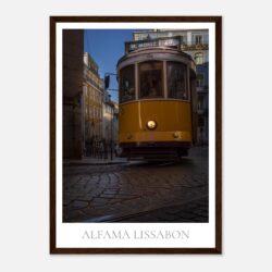 e9ef82ea-186b-4e65-880d-23a200c1e4df