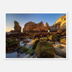 ed56fe69-4f1c-4f68-8370-9c83a6901e2f