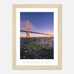 ef272a31-cd53-42cb-89e4-f1ae8ac554f9