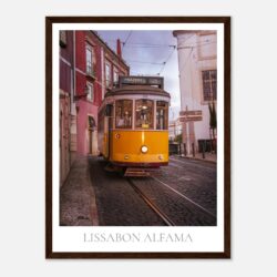 f0c31885-6a22-4446-a478-8022f42885a1