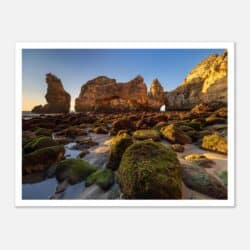 f0f11db6-05af-497e-b03a-dff6fb5aa21f