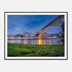 f30938b0-b631-4c6c-99f7-3491b42830fe