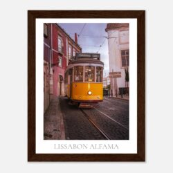 f3748d19-6422-4c67-a101-a7fe72a25493