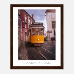 f39a8dd9-81cb-4303-8622-1520691e6f6d