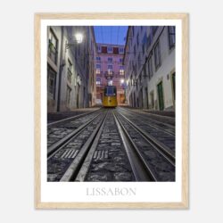 f3a57fac-16d6-4d82-ac53-7fbad2db6751