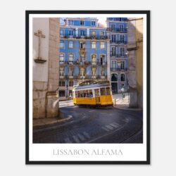 f511a2d5-0932-4d50-aa1a-6d7bf920b450