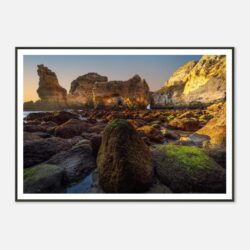 f7ea1480-dfff-4903-8856-1e8e1ef0fde3