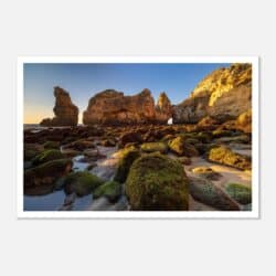 f96aff25-938b-47dc-b3d1-1c64b31f05f4