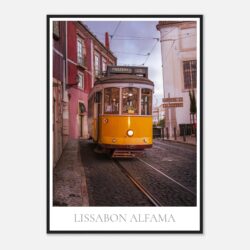 fafaece6-74b3-4a95-a5f6-37da8ee14691