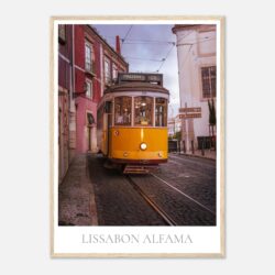 fcf7603b-6e10-4576-8105-0a32bc59b645