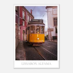 ffb10785-95e6-4fae-917c-e8a02da68514